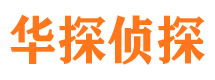 汝阳市调查公司